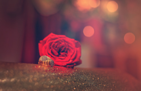 1573394058 captura de pantalla 2019 11 10 a las 145245