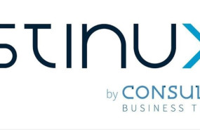 destinux y consultia 