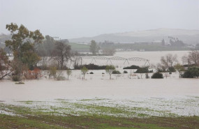 ep archivo   imagen de la vega del guadalete inundada tras el desbordamiento del rio a su paso por