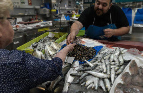 ep archivo   marisco en las pescaderias de la praza de lugo a 22 de junio de 2023 en a coruna