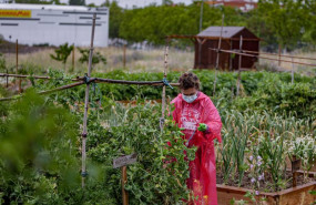 ep archivo   una voluntaria que trabaja en el huerto urbano comunitario de vicalvaro prepara una