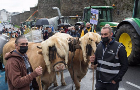 ep dos ganaderos con sus vacas durante una tractorada convocada por agromuralla en lugo para exigir