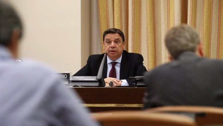 El ministro de Agricultura, Pesca y Alimentación, Luis Planas, durante una comparecencia ante la comisión del ramo en el Congreso | Pool - Archivo ep el ministro de agricultura pesca y alimentacion luis planas durante una comparecencia ante la