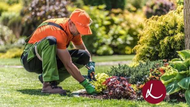 ep idverde aterriza en espana mediante la compra de una participacion mayoritaria en el ejidillo