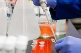 ep investigador laboratorio 20200306140407