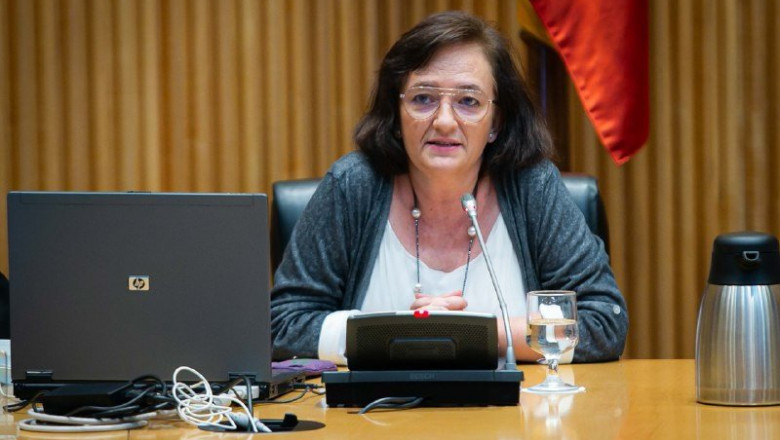 ep la presidenta de la airef cristina herrero en la comision para la reconstruccion del congreso ep la presidenta de la airef cristina herrero en la comision para la reconstruccion del congreso
