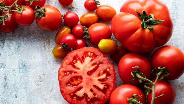 ep tomates 20210210122908
