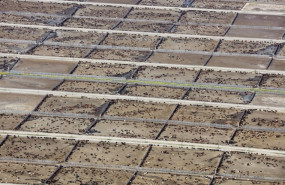 imagen 20251111183146 imagen 20251111183146