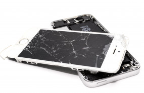 1601545897 pexels skitterphoto 1388947 1601545897 pexels skitterphoto 1388947