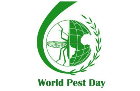 1654520054 dia mundial de las plagas 1654520054 dia mundial de las plagas