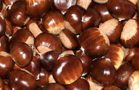 captura de pantalla 2024 10 22 a les 204010 captura de pantalla 2024 10 22 a les 204010