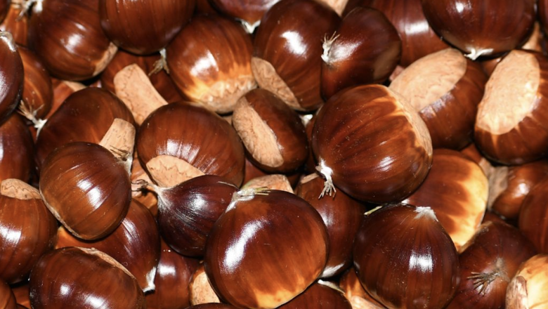 captura de pantalla 2024 10 22 a les 204010