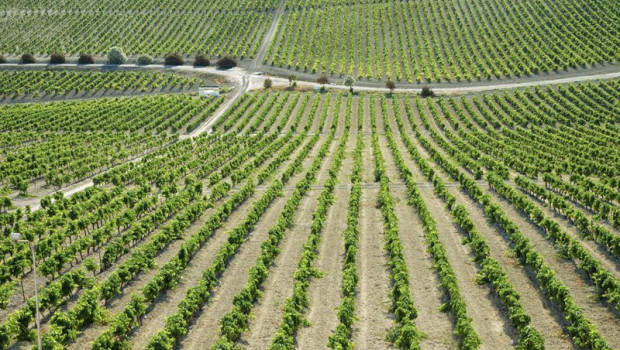 ep archivo   una vina del marco de jerez