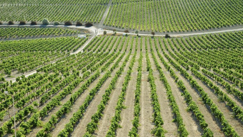 ep archivo una vina del marco de jerez ep archivo una vina del marco de jerez