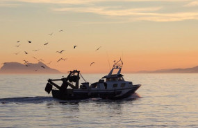 ep barco de pesca de la flota andaluza