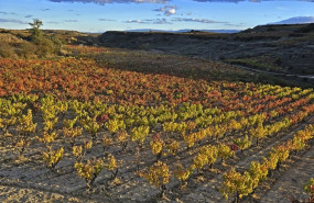 ep campo agricola ep campo agricola