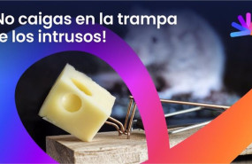 ep ceav insta a consumo a reforzar los controles contra el intrusismo por el aumento de ventas sin