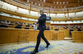 ep el ministro del interior fernando grande-marlaska a su salida del pleno en el senado