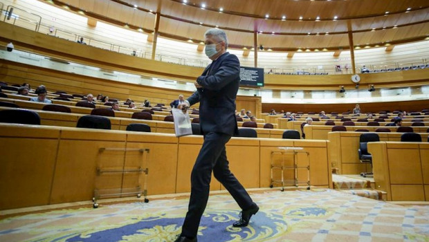 ep el ministro del interior fernando grande-marlaska a su salida del pleno en el senado