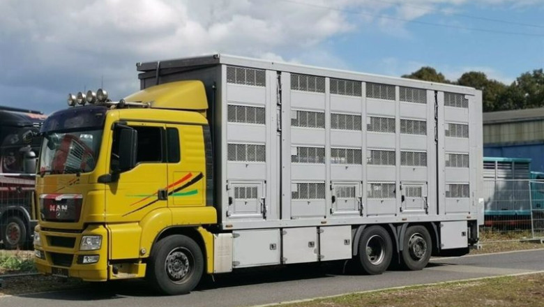 ep el sef lanza su primer curso centrado en las buenas practicas en el transporte de ganado