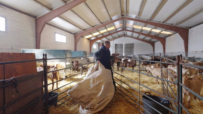ep fademur y bodega bardos lanzan la cuarta edicion de su proyecto para impulsar a mujeres rurales ep fademur y bodega bardos lanzan la cuarta edicion de su proyecto para impulsar a mujeres rurales
