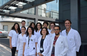 ep investigadores espanoles descubren el papel de la proteina p38mapk en el envejecimiento de las