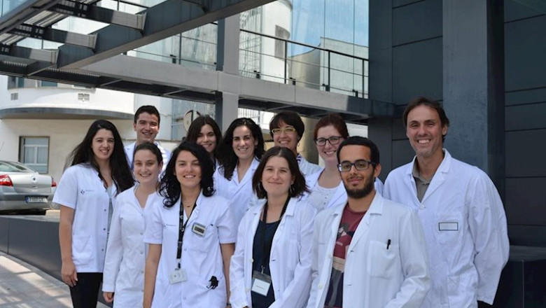 ep investigadores espanoles descubren el papel de la proteina p38mapk en el envejecimiento de las ep investigadores espanoles descubren el papel de la proteina p38mapk en el envejecimiento de las