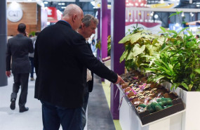 ep un estante de hortalizas en la feria internacional de frutas y verduras fruit attraction 2023