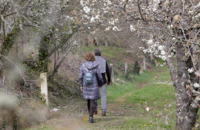 ep una pareja pasea por un camino con los cerezos en flor en corullon leon