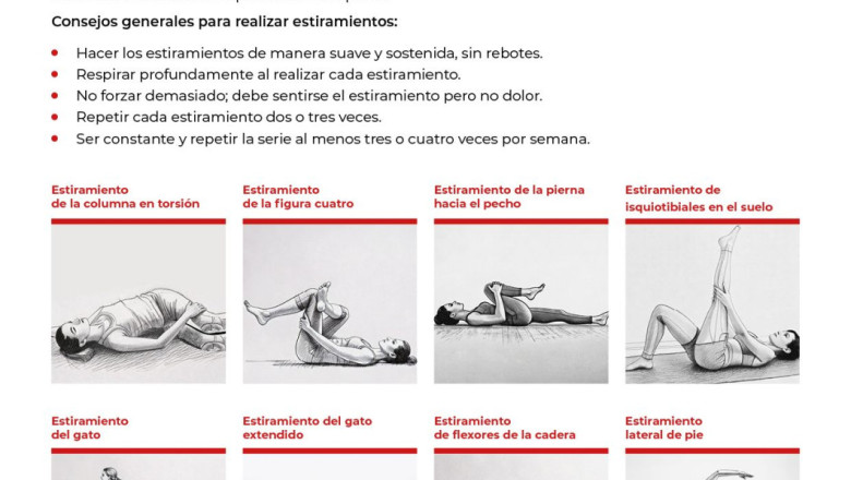 inf 2025 sin dolor espalda dic24 medgen inf 2025 sin dolor espalda dic24 medgen