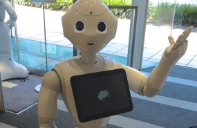 robot, pepper robot, pepper