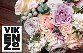 vikenzo nature flores preservadas