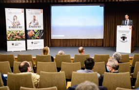 1635330043 jaimezafra web