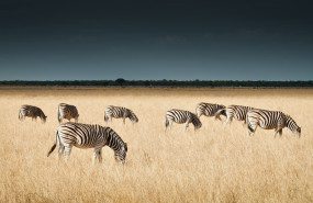 dsc03082 4 20230911150027 