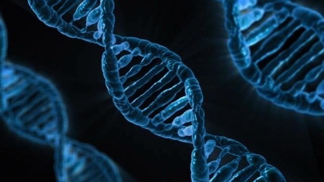 ep adn genes genetica