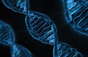 ep adn genes genetica