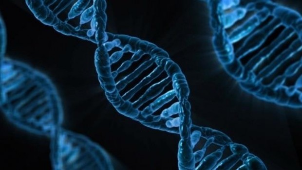 ep adn genes genetica