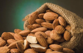 ep almendras 20231017172608 ep almendras 20231017172608