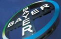 ep archivo   bayer