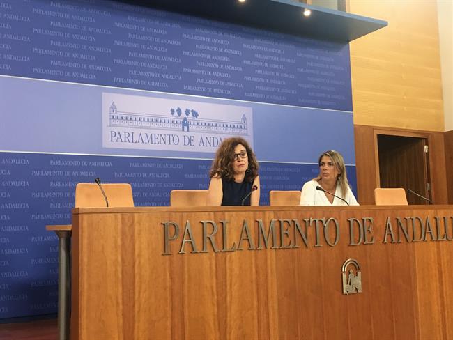Esperanza Gómez y Begoña Gutiérrez, de Podemos Andalucía, en rueda de prensa | EUROPA PRESS ep esperanza gomezbegona gutierrez deandalucia en ruedaprensa