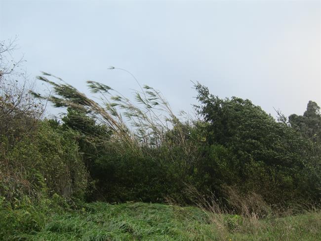 Imagen de Archivo. Fuertes rachas de viento. | EUROPA PRESS - Archivo ep imagenarchivo fuertes rachasviento