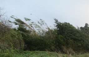 ep imagenarchivo fuertes rachasviento