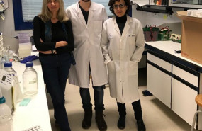 ep investigadores de la uam descubren un polimero natural muy eficaz in vitro frente a cinco virus