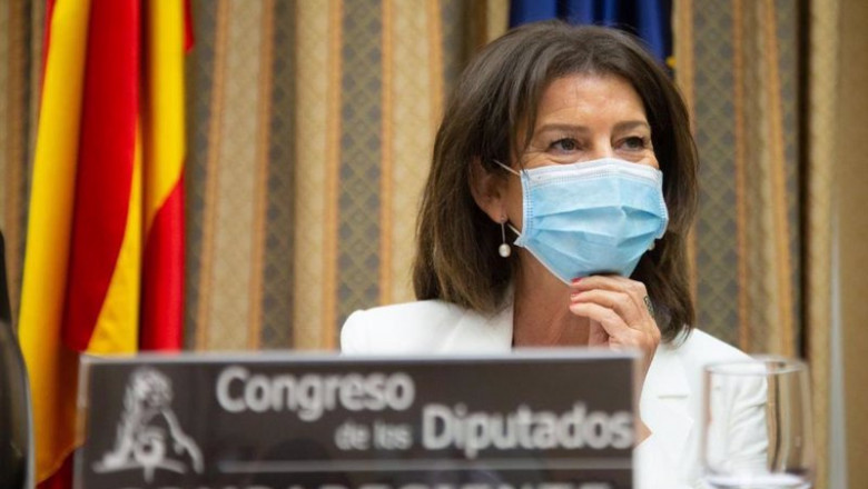 ep la presidenta de navantia susana de sarria sopena comparece en el congreso