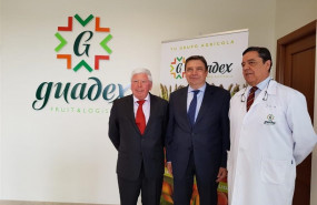 ep planas ve positivapropuestaregulacionpescamediterraneo que