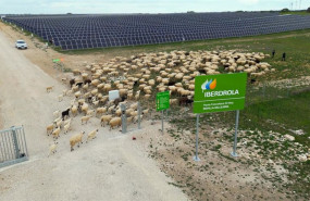 ep planta fotovoltaica de iberdrola en revilla vallejera