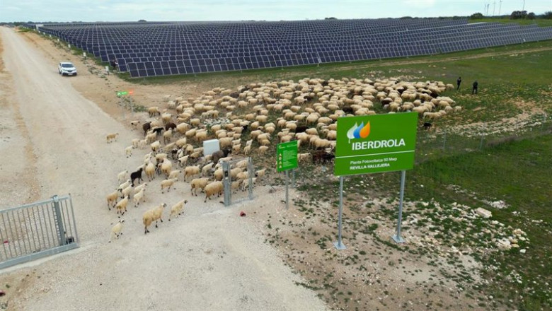 ep planta fotovoltaica de iberdrola en revilla vallejera