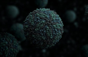 ep virus zika 20190805172304