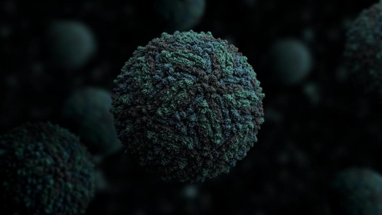 Virus Zika | MANUEL ALMAGRO RIVAS - Archivo ep virus zika 20190805172304