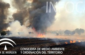 ep zona afectadafuegofuente obejuna